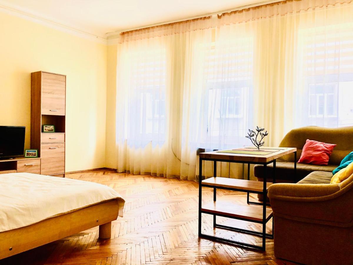 Apartment Near Opera On Horodotska 11 利沃夫 外观 照片