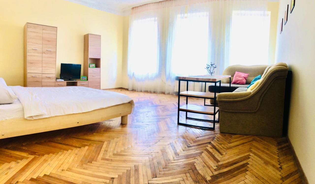 Apartment Near Opera On Horodotska 11 利沃夫 外观 照片