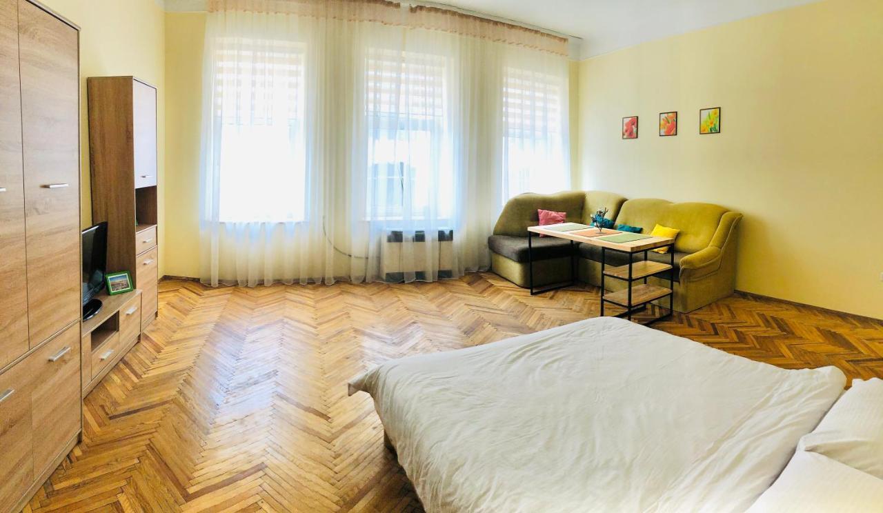 Apartment Near Opera On Horodotska 11 利沃夫 外观 照片
