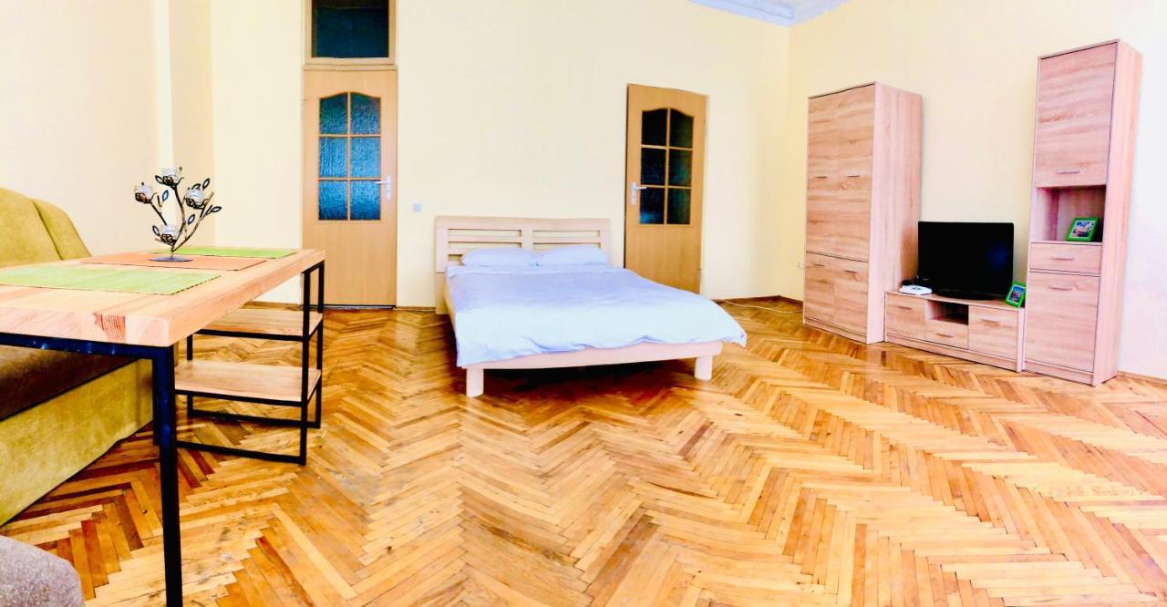 Apartment Near Opera On Horodotska 11 利沃夫 外观 照片